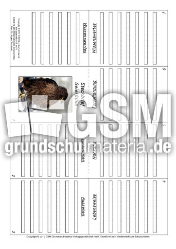 Faltbuch-Geierfalke.pdf